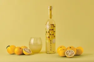 YUZU HOLIC